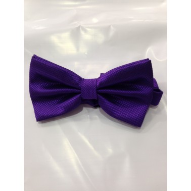 Noeud de papillon homme violet