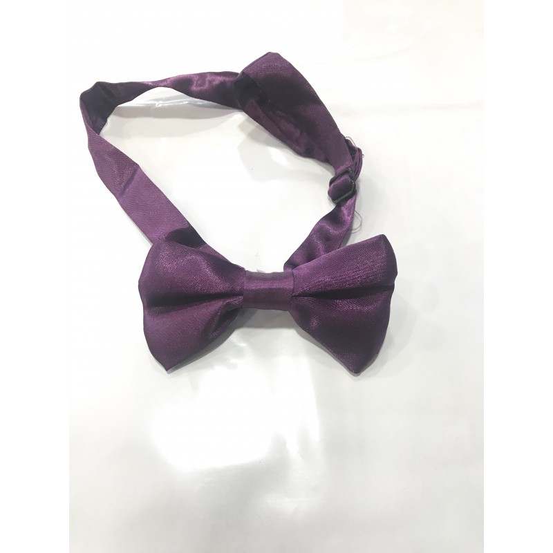 Noeud papillon enfant violet